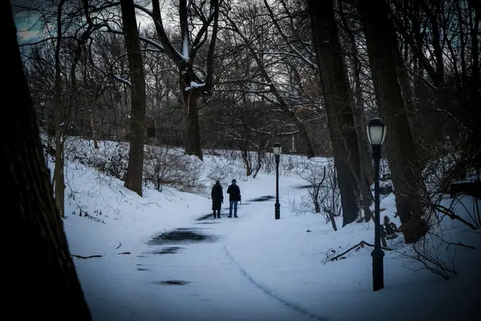 Two people walk on a snowy path winding through trees in Inwood Park.